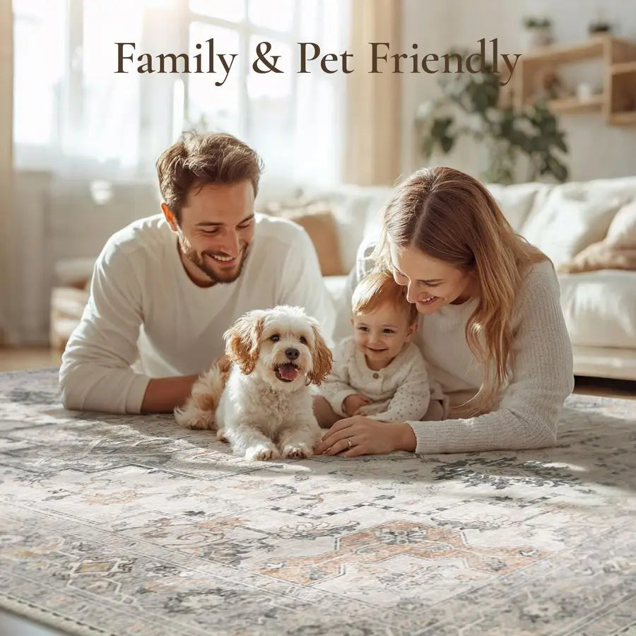 Area Rug Chenille For Living Room Home Decor Collection